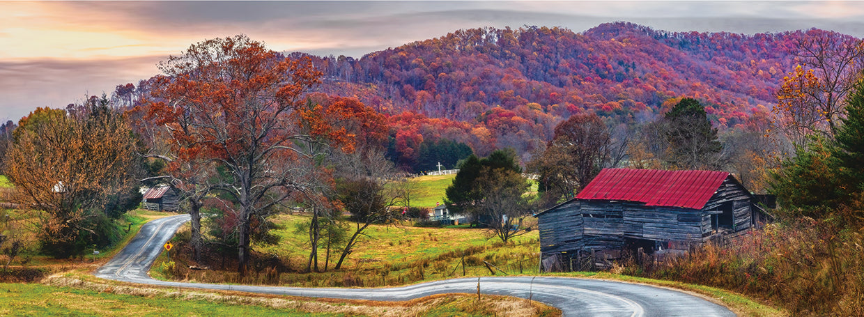 Winding Country Roads
