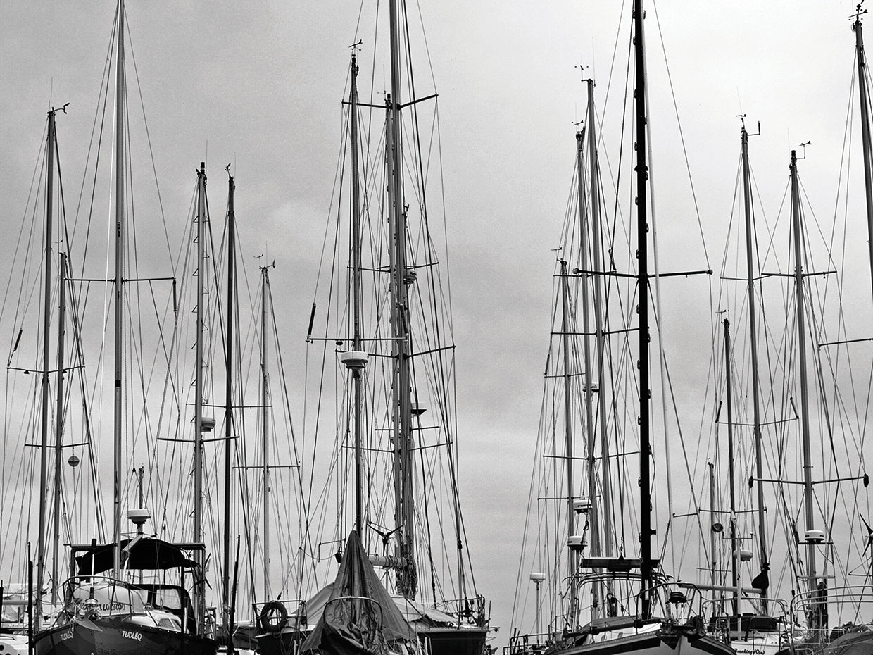 Marina Sailboat Masts