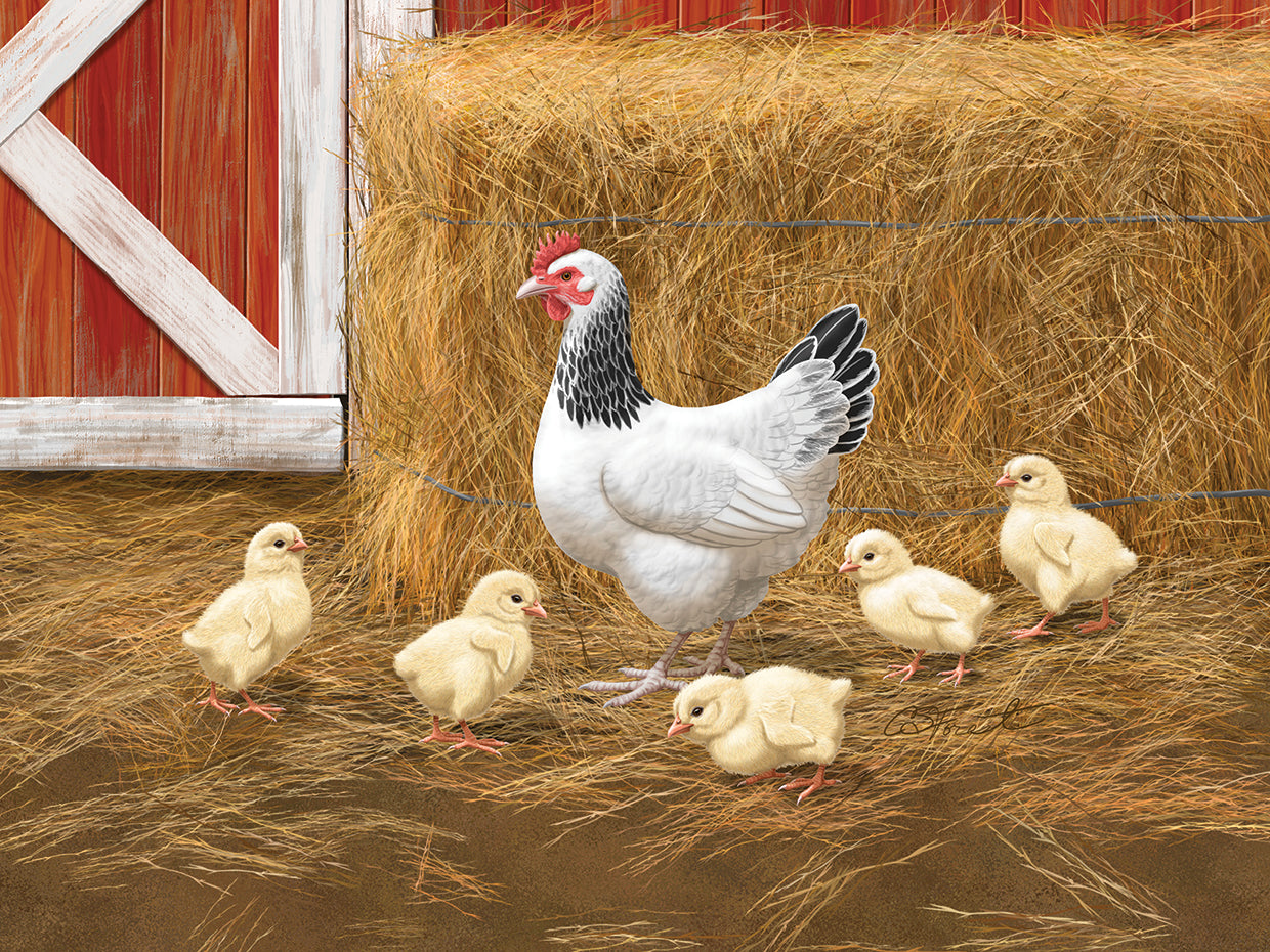 Sussex Hen And Chicks In Barnyard