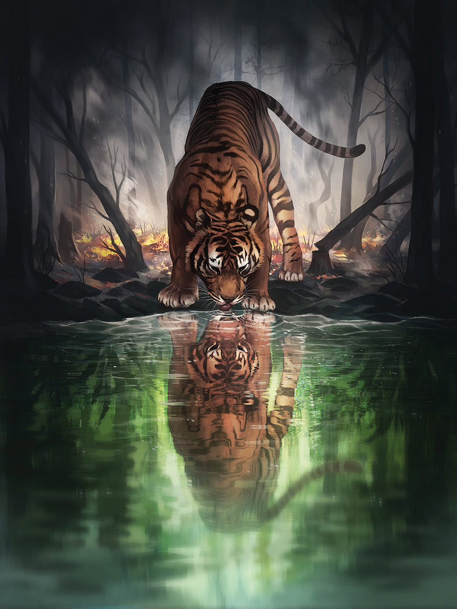 The World I Used To Know