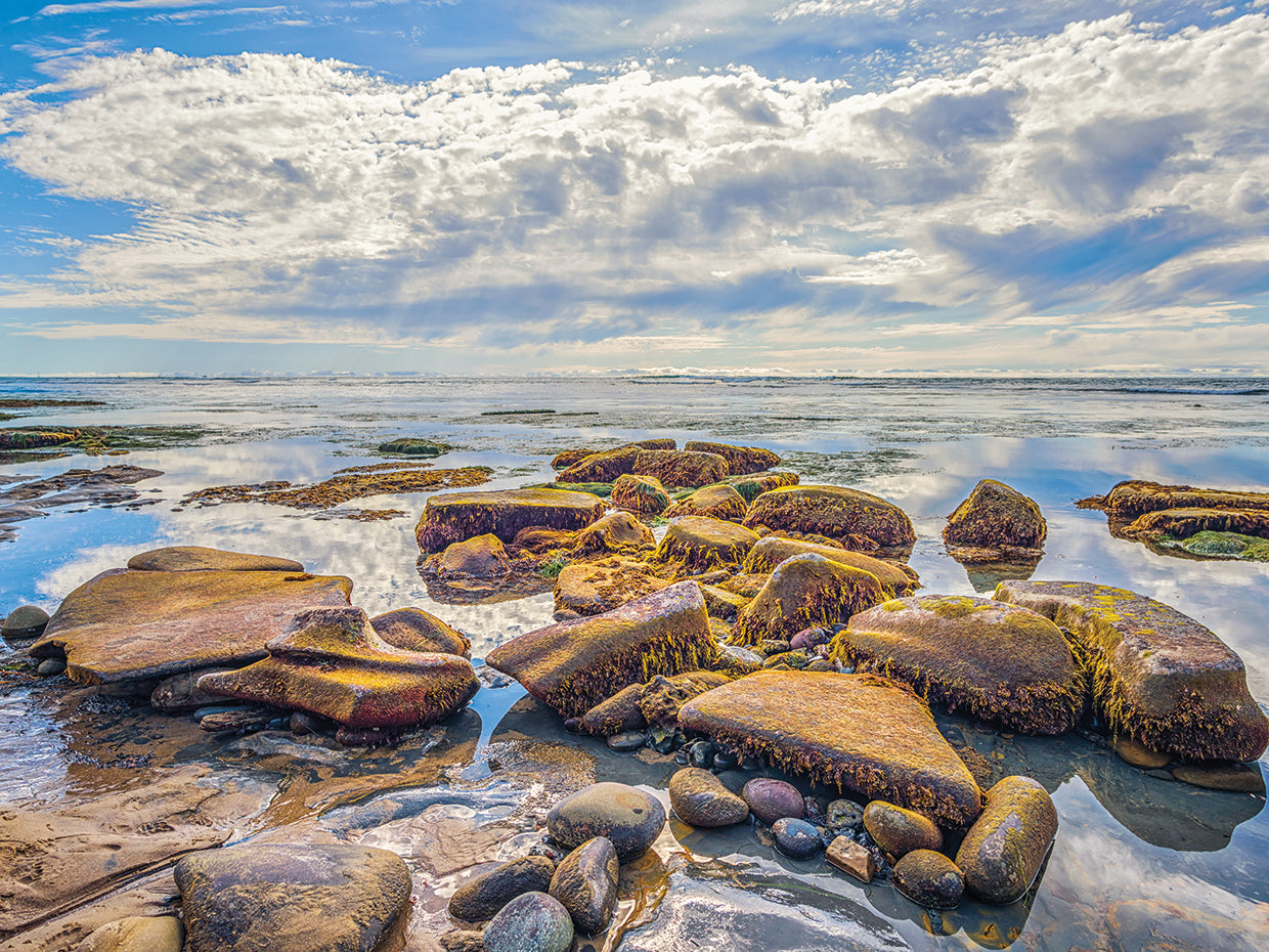 Jumble Of Rocks San Diego Coast