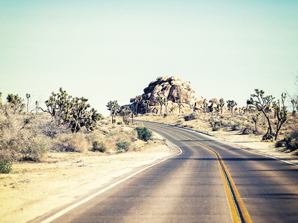 Road Trip Joshua Tree National Park