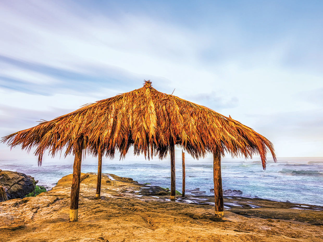 Surf Shack La Jolla Coast