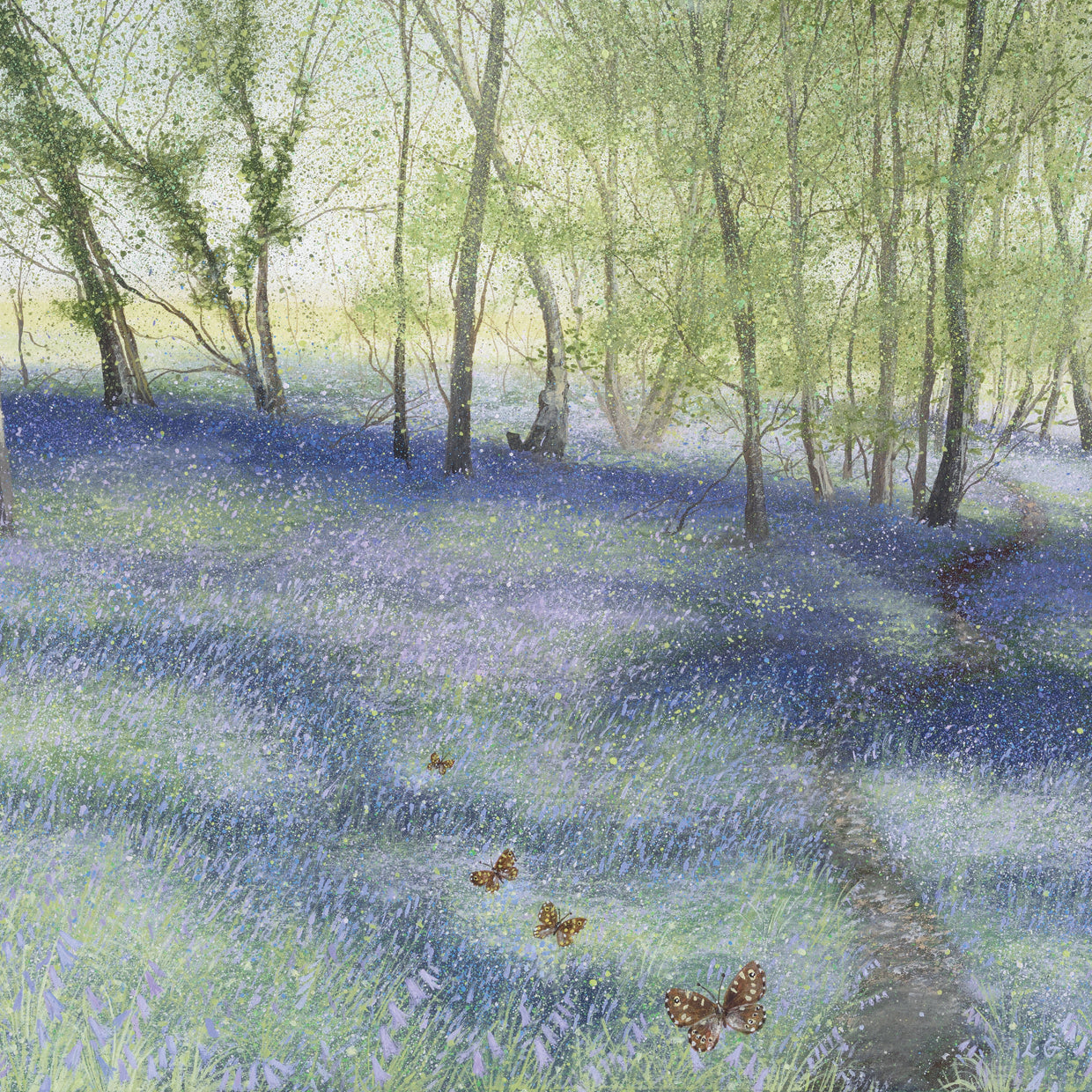 Bluebell Wood