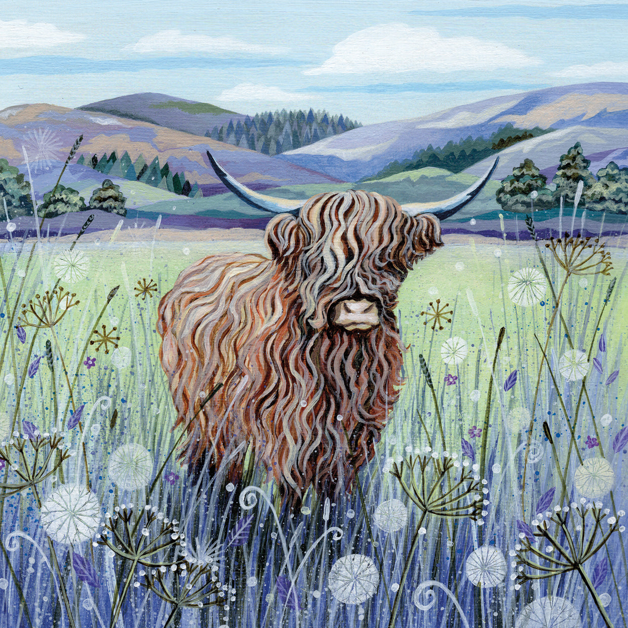Highland Cow