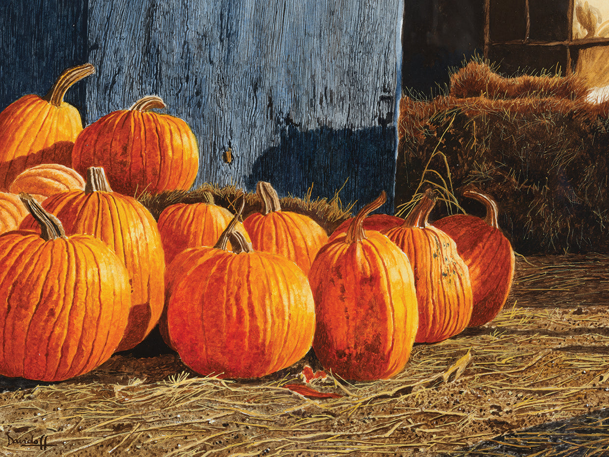 Pumpkins at Kelder Farm
