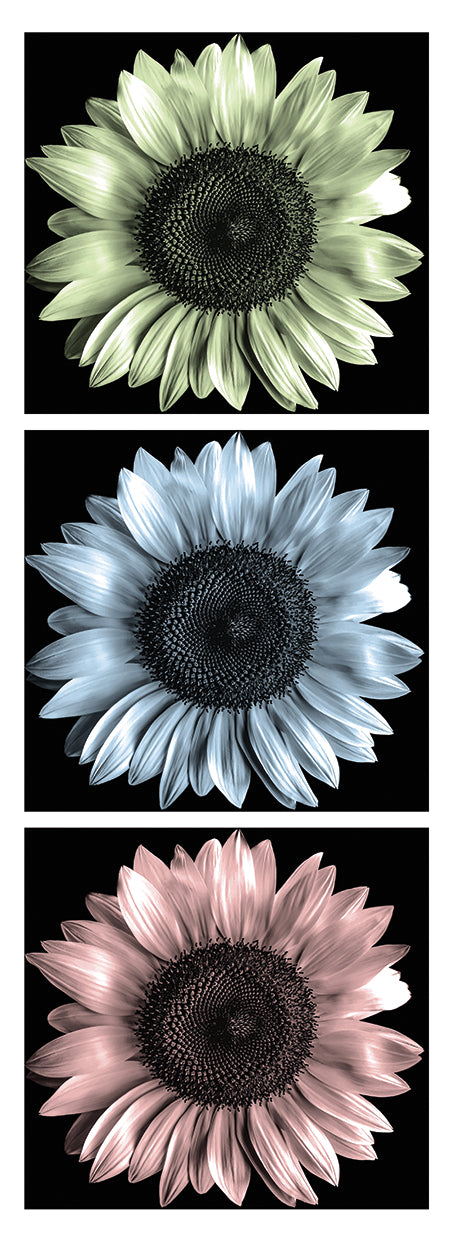 Infrared Composition 2