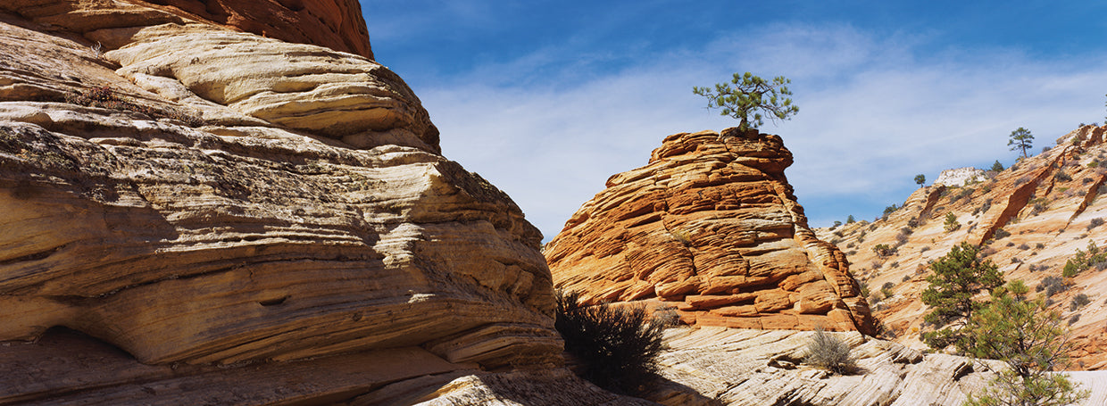 Formaciones rocosas en un paisaje, Parque Nacional Zion, Utah, EE. UU. Lienzo