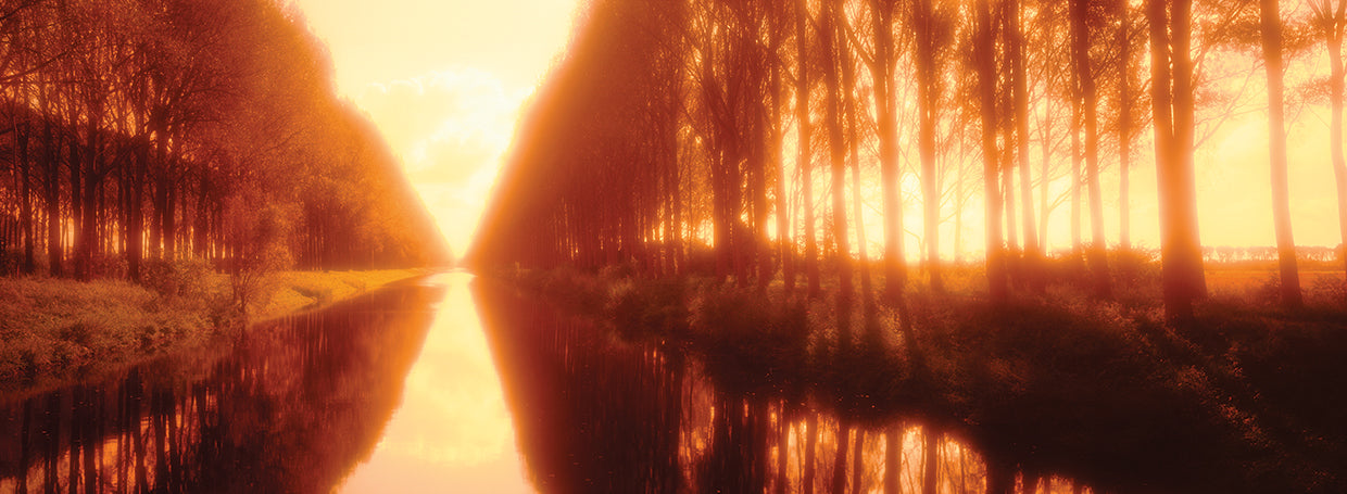 Bélgica, vía fluvial arbolada a través del campo, tono sepia Lienzo