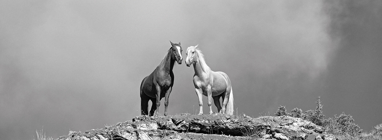 Dos caballos parados en el borde del acantilado, Wyoming, EE. UU. 2 Lienzo