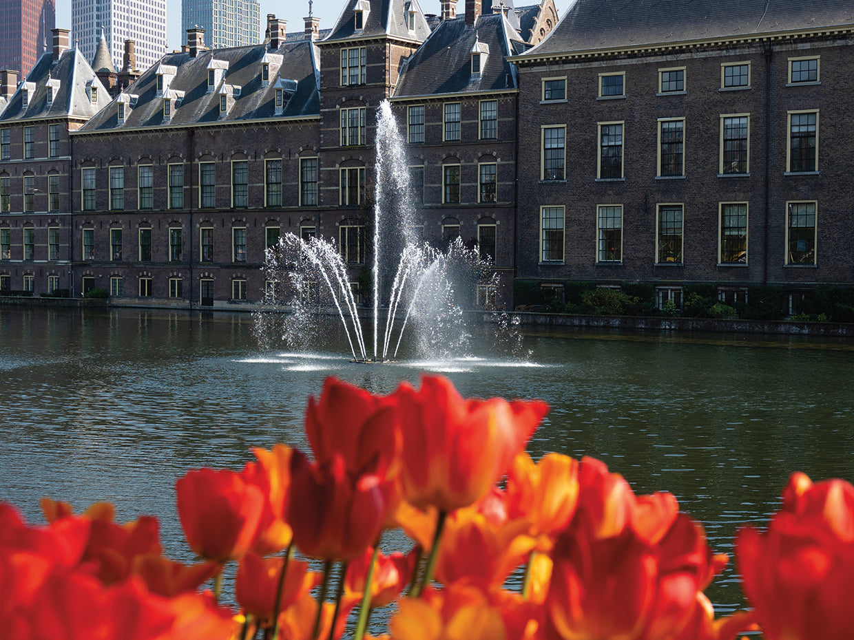 Tulips and fountain in Hofvijver pond, The Hague, South Holland, Netherlands