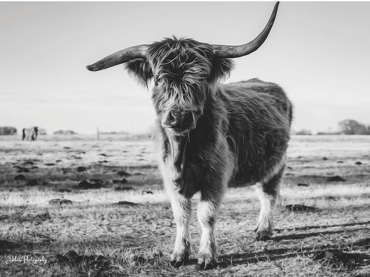 Black and White Side Shot