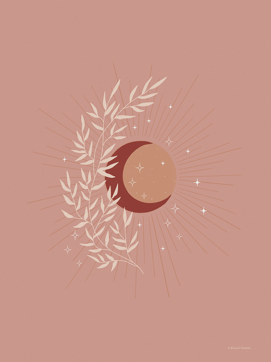 The Moon, Sun and Earth