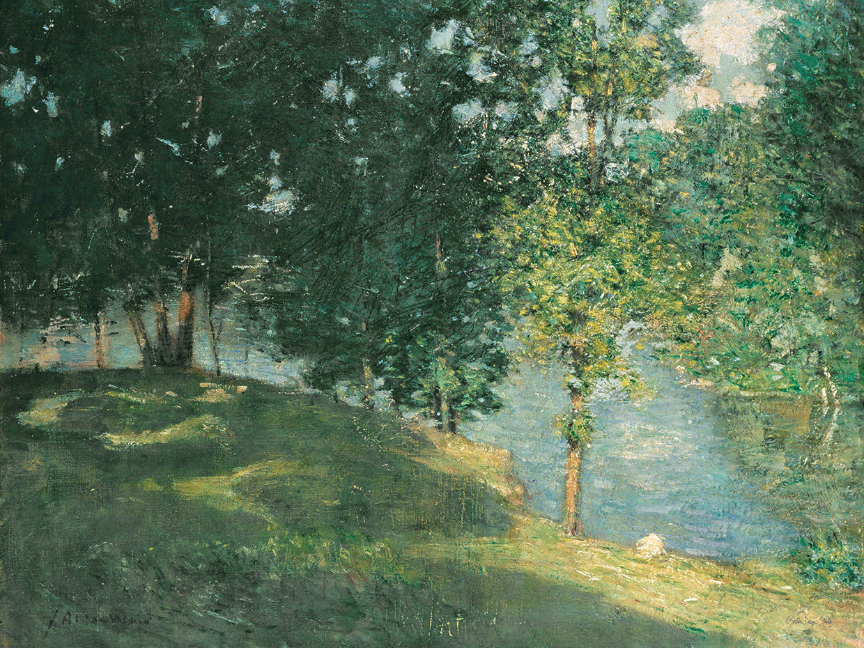 Afternoon Reflection