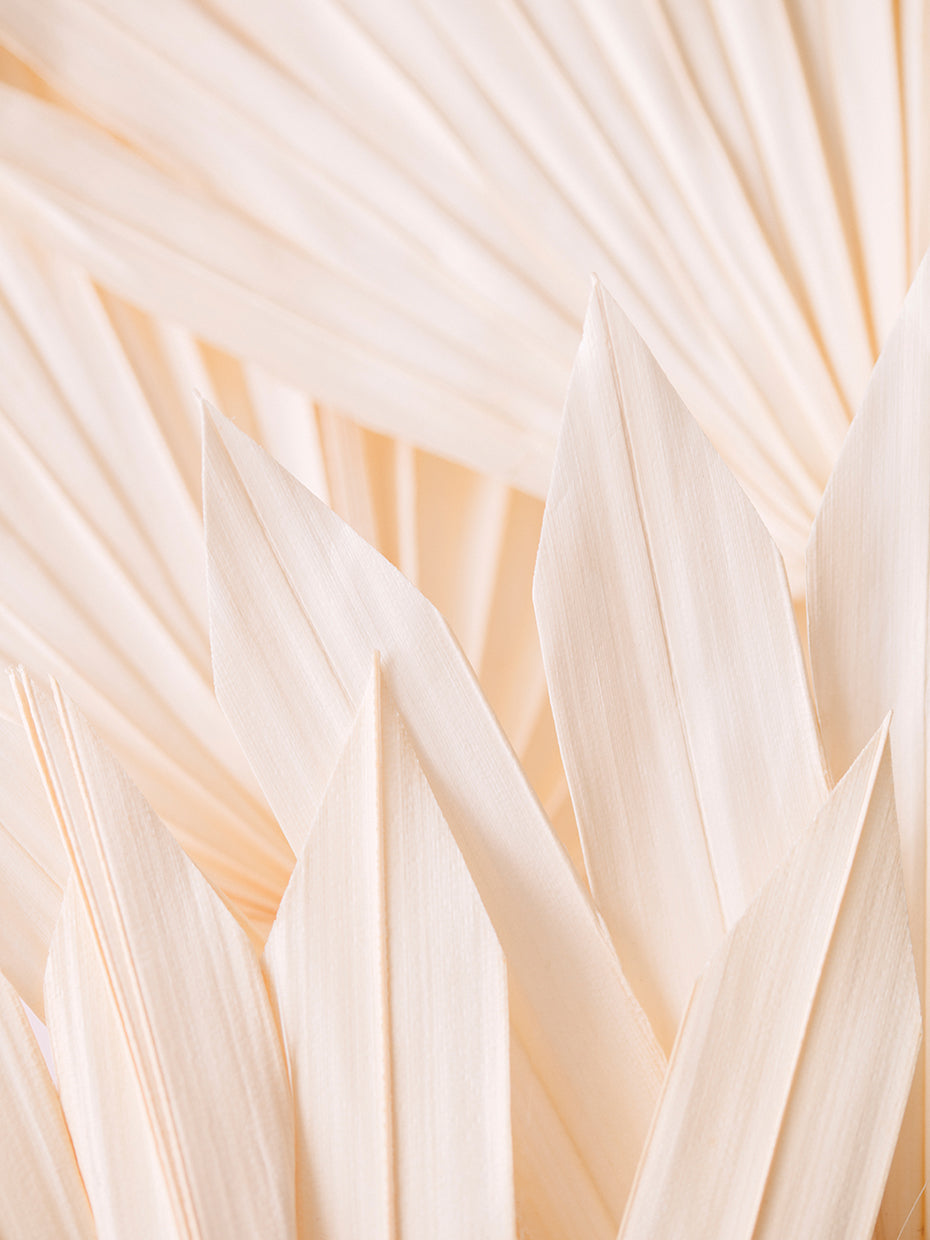 Studio III - Pattern