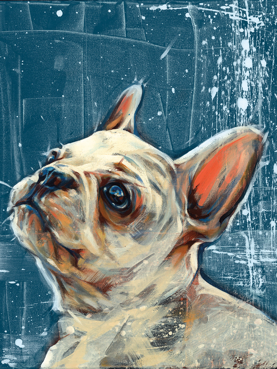 French Bulldog