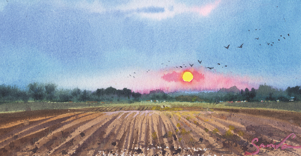 Wheat Field With Sun