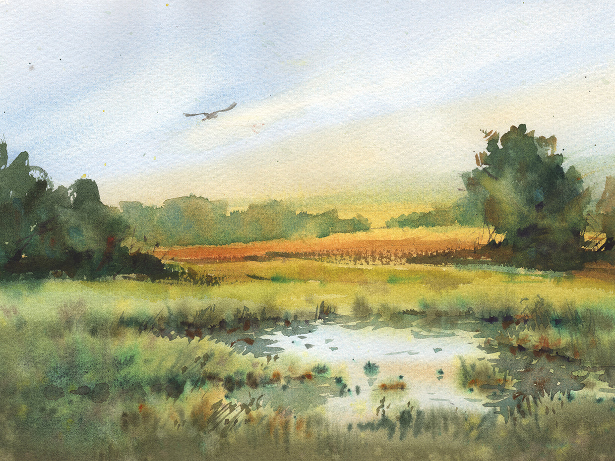 Landscape Sunny Morning