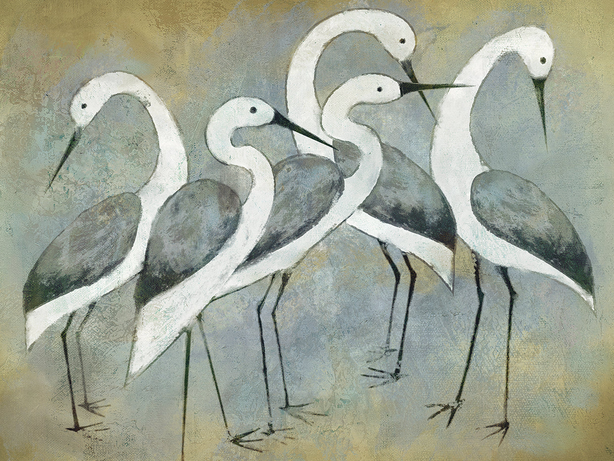 Crane Portrait Light