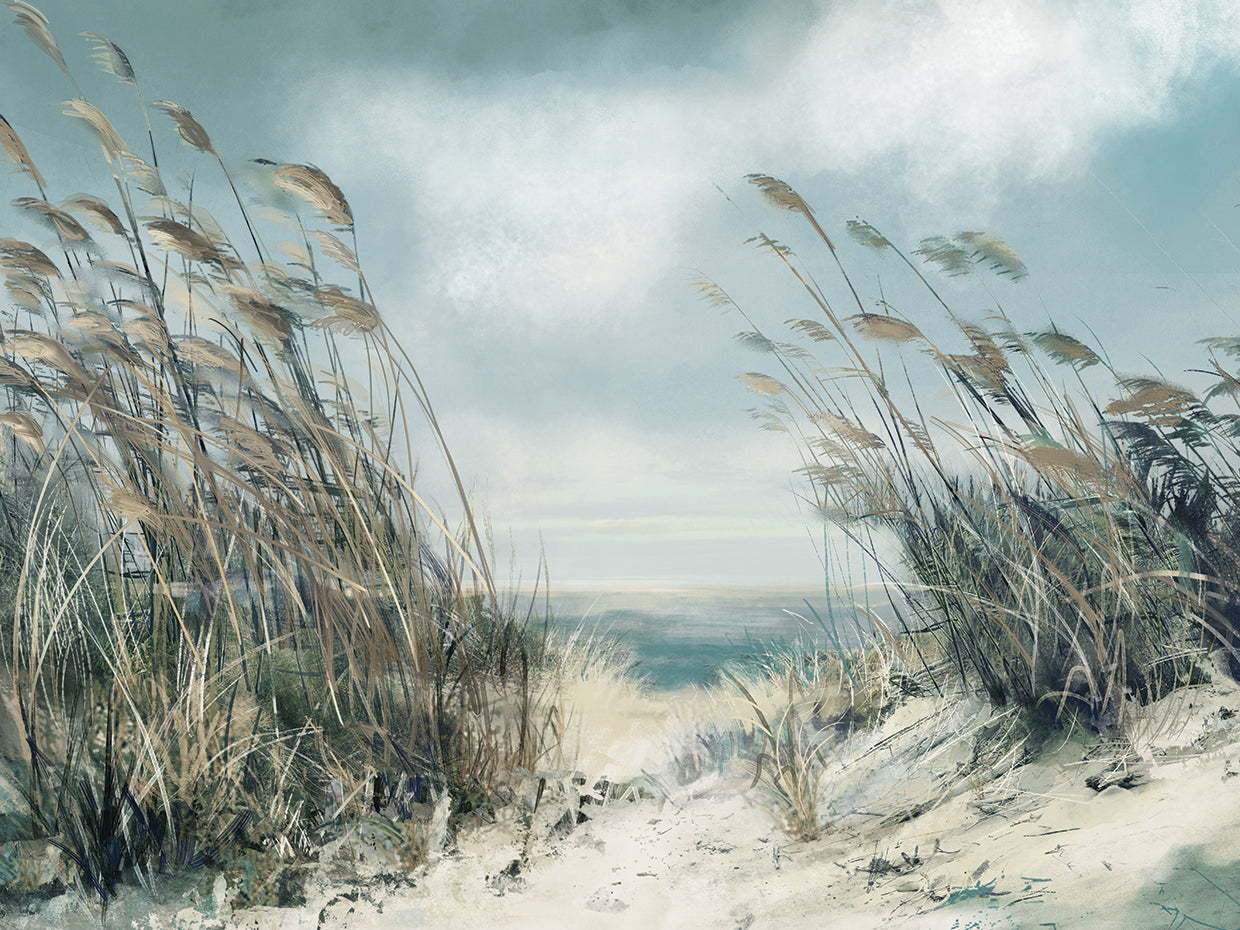 Dune Grasses Soft