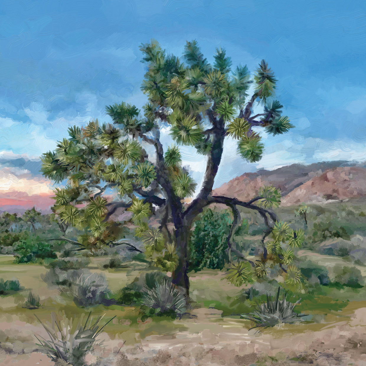 Joshua Tree