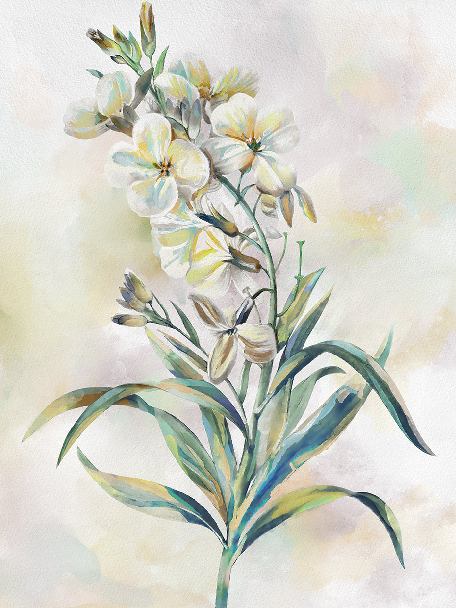 Botanical Whispers III