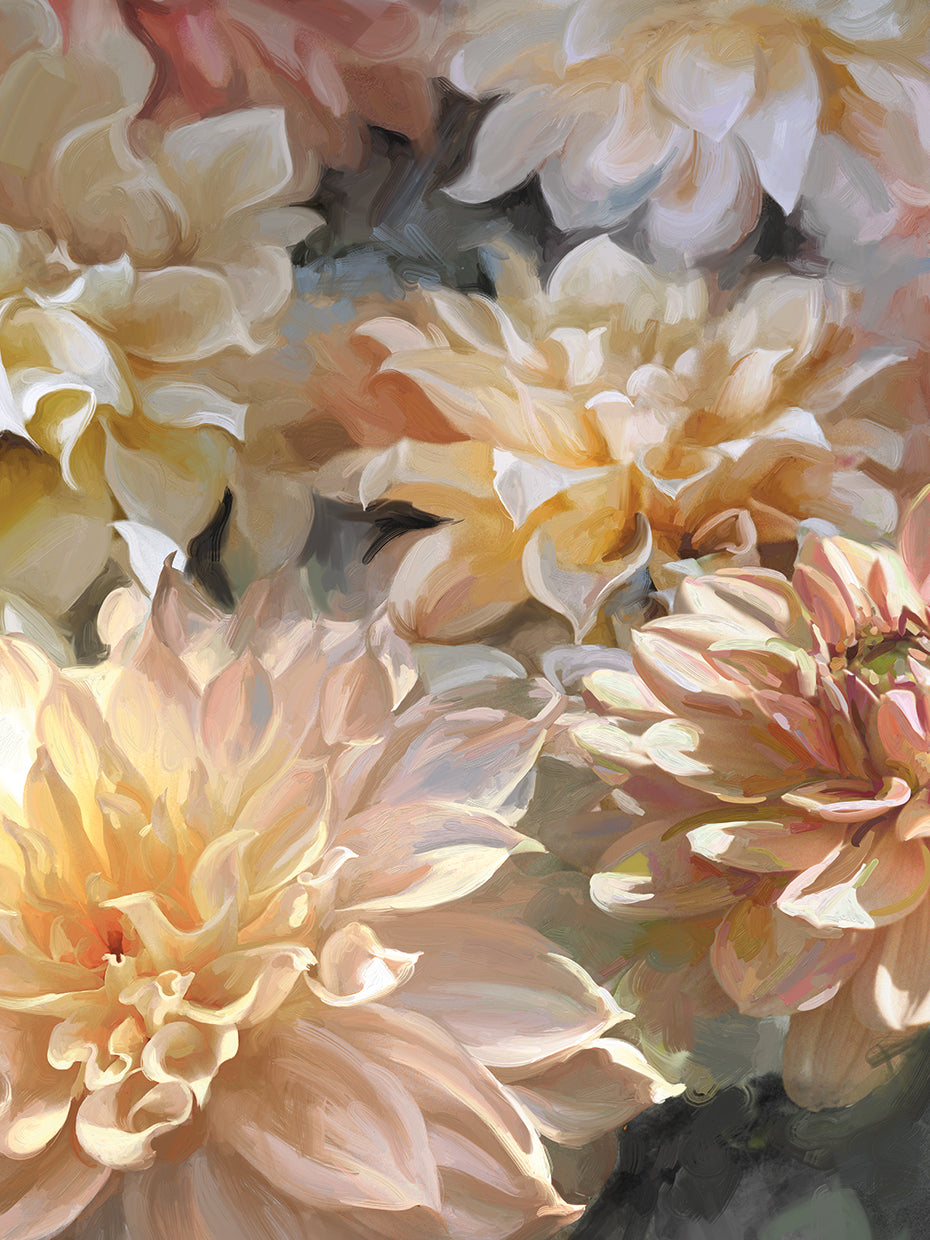 Sherbert Dahlias