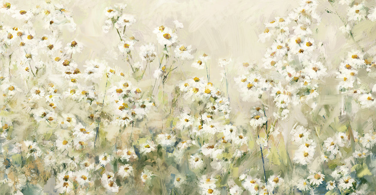 Daytime Daisies