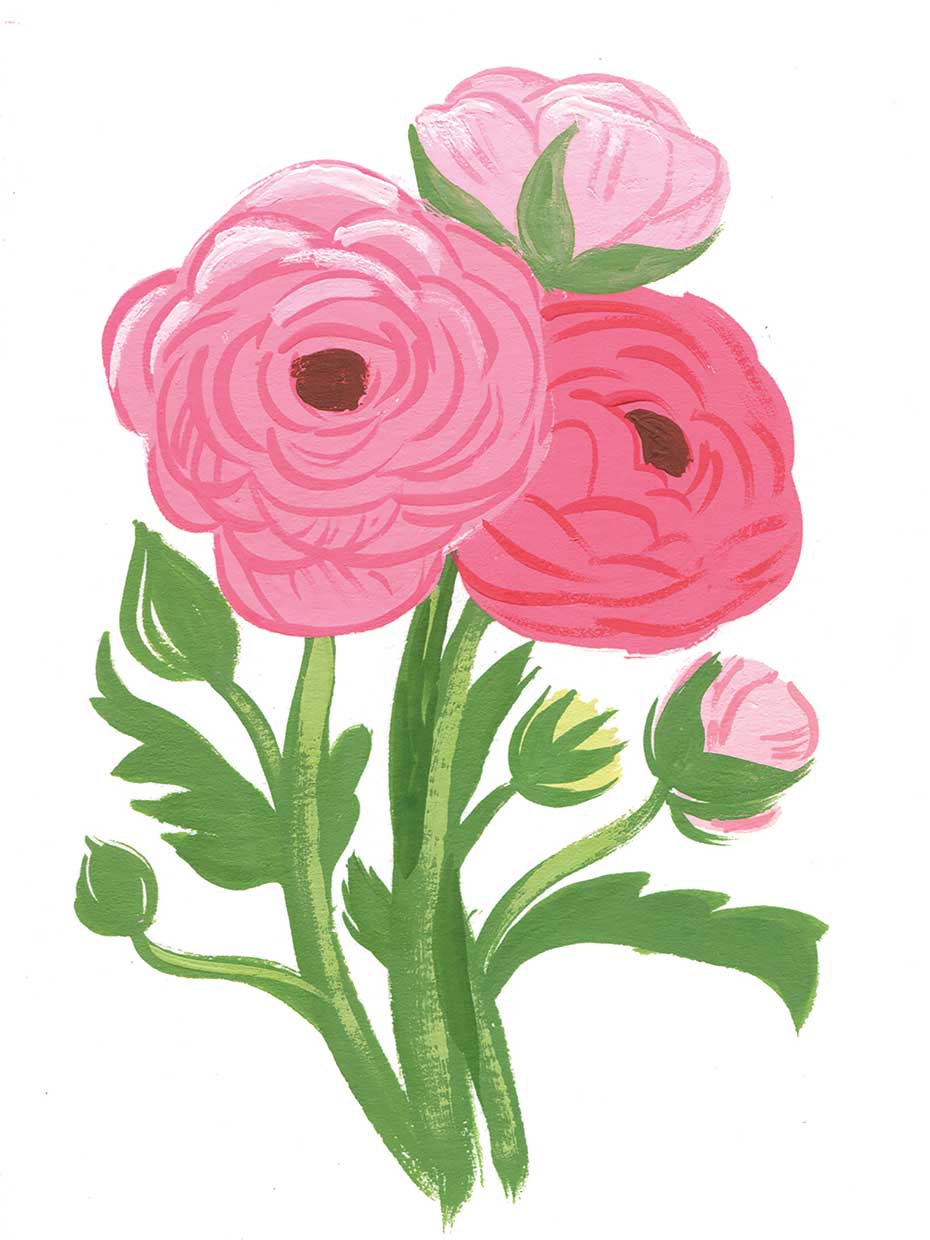 Ranunculus