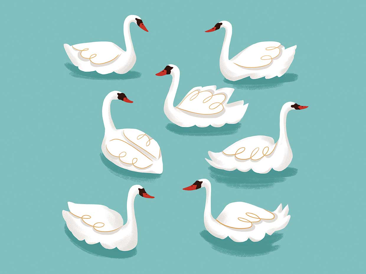 12 Days of Christmas 7 Swans Swimming