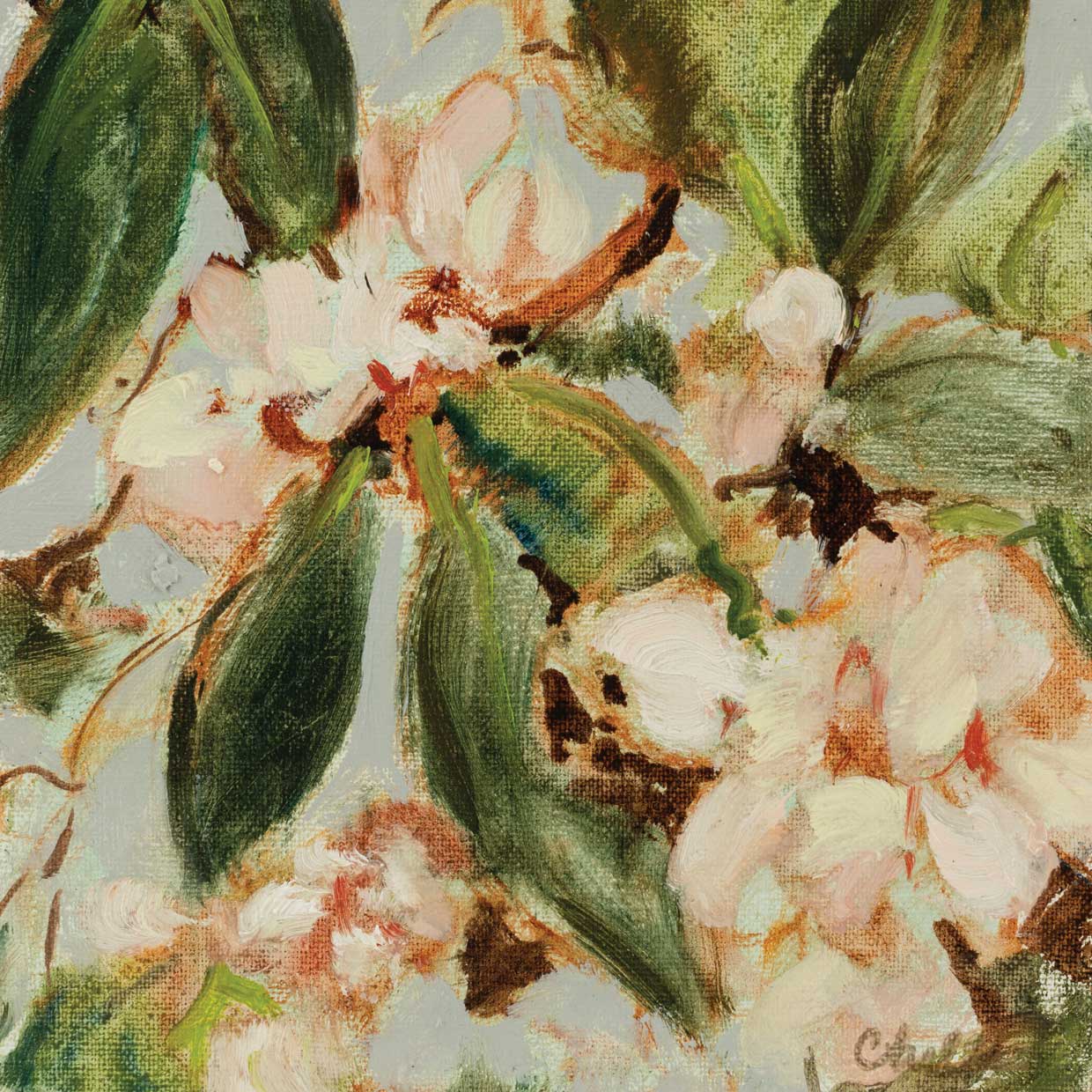 Colección floral 9 Lienzo