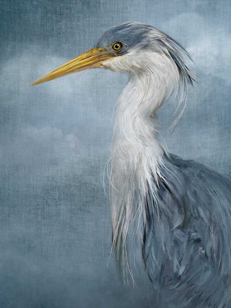 Coastal Portrait in Blue