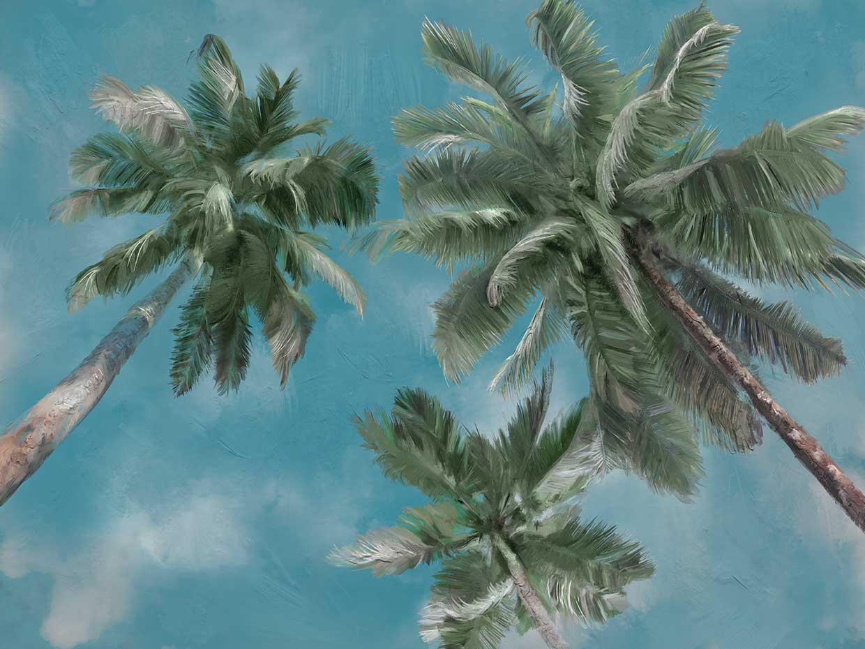 Palm Sky
