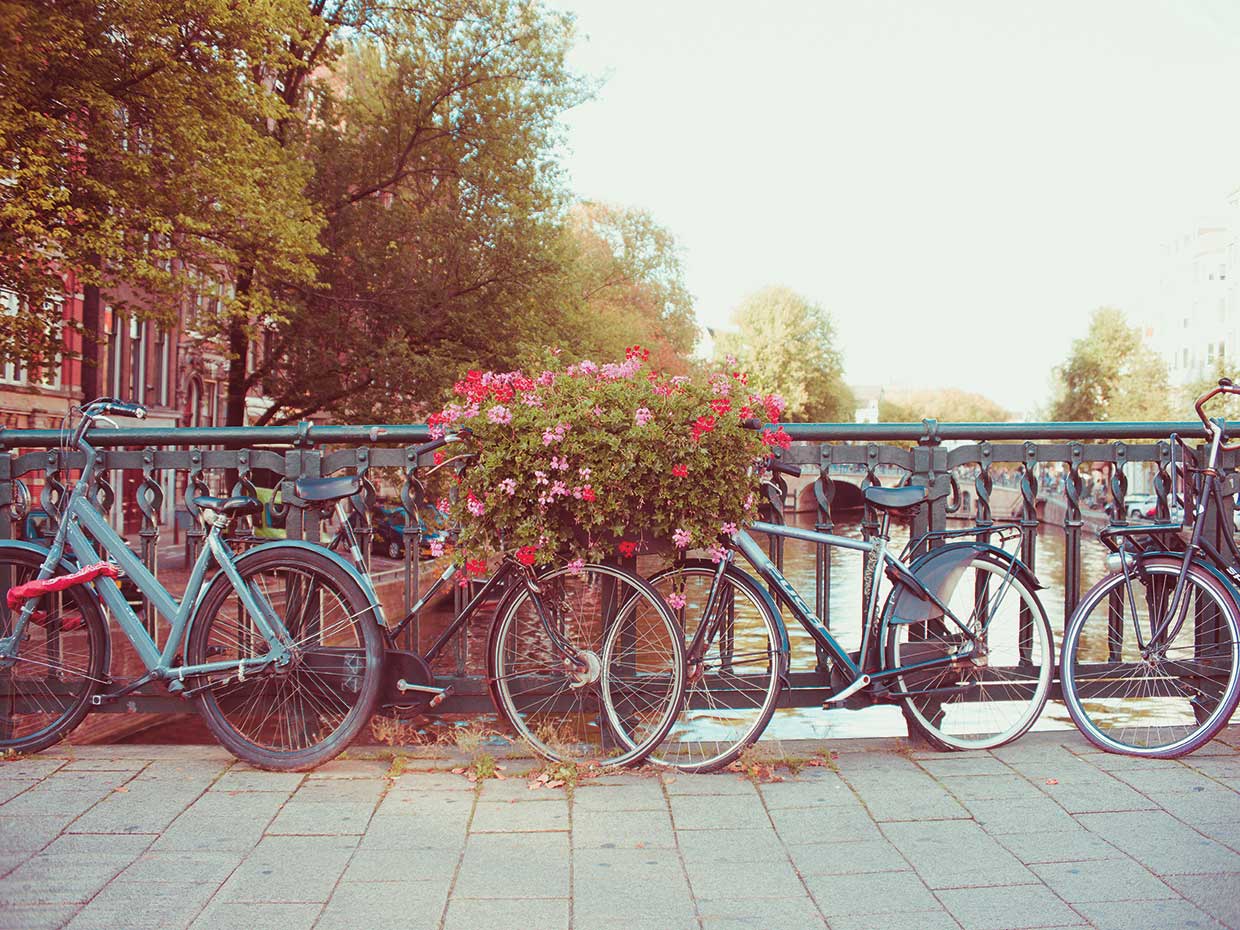 Amsterdam Bikes No. 1 Lienzo