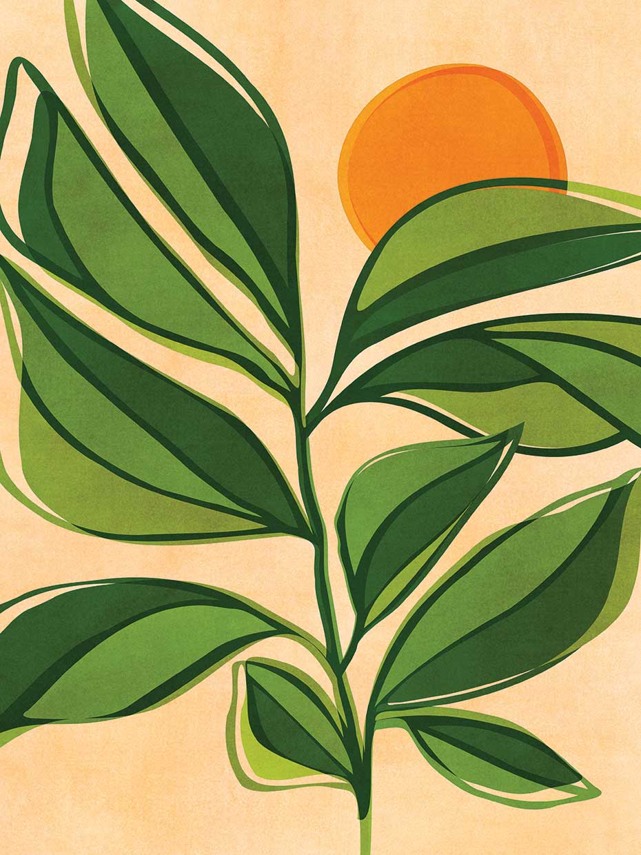 Golden Garden Sunset