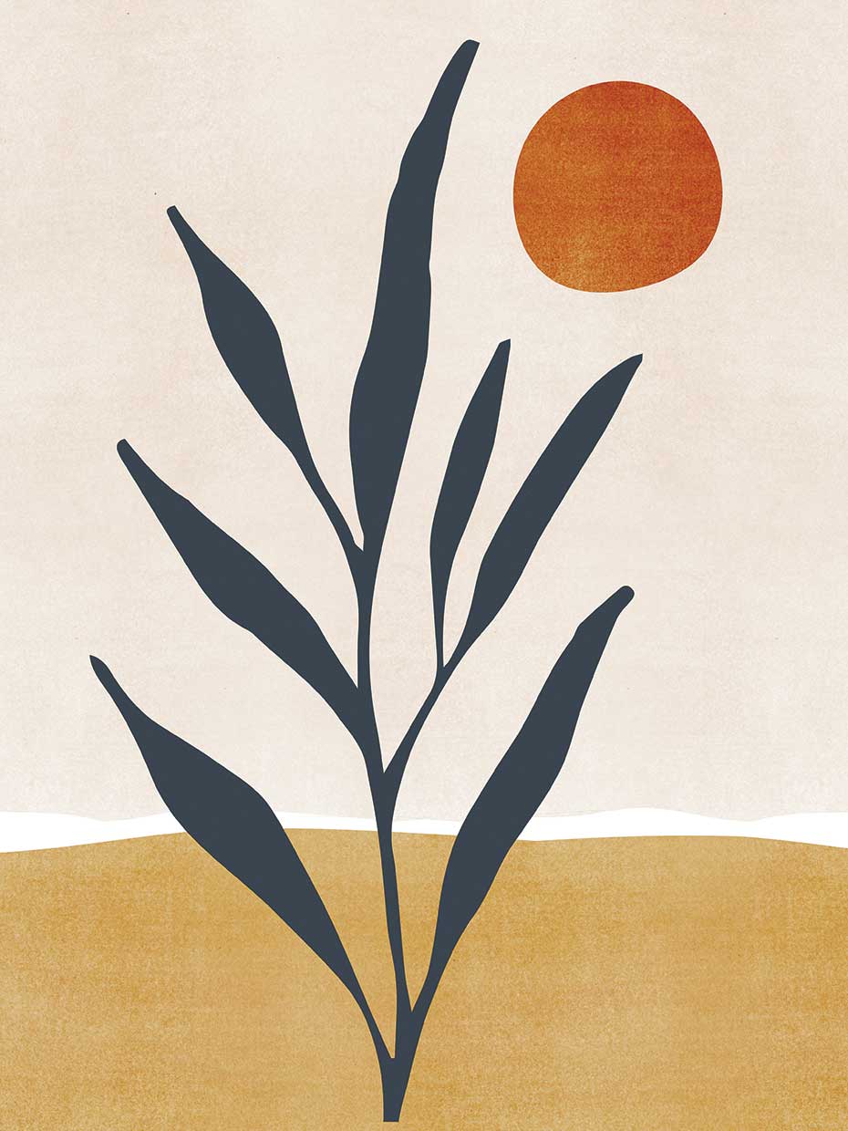 Southwest Minimal Landscape