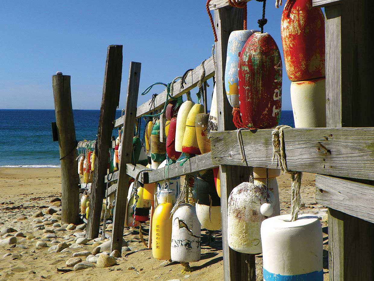 Beach Buoys