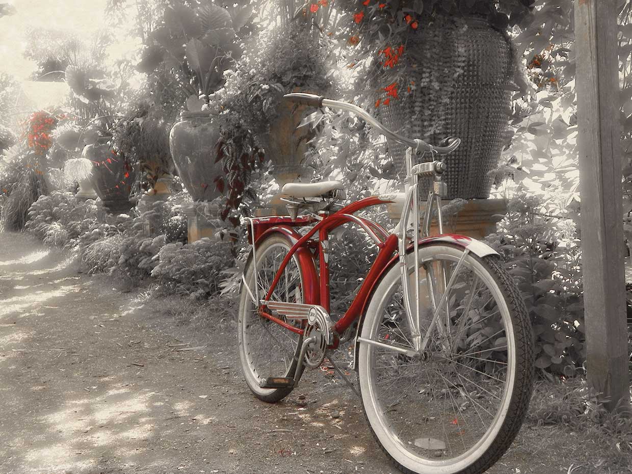 Garden Bike Red