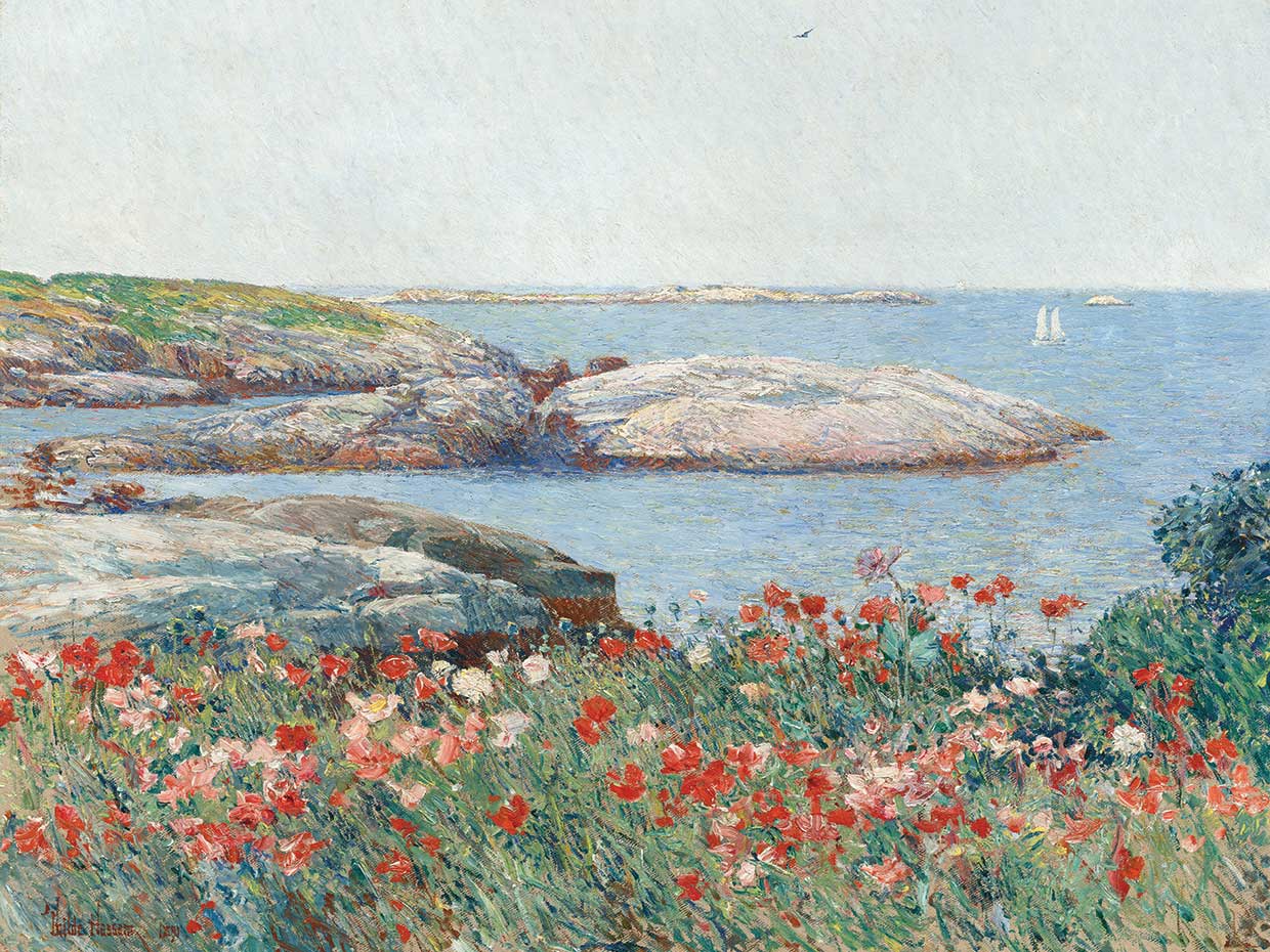 Poppies Isles of Shoals
