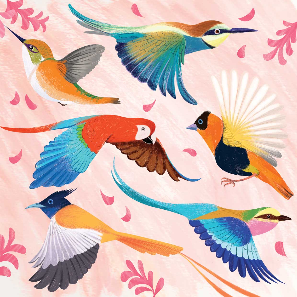 Tropical Birds