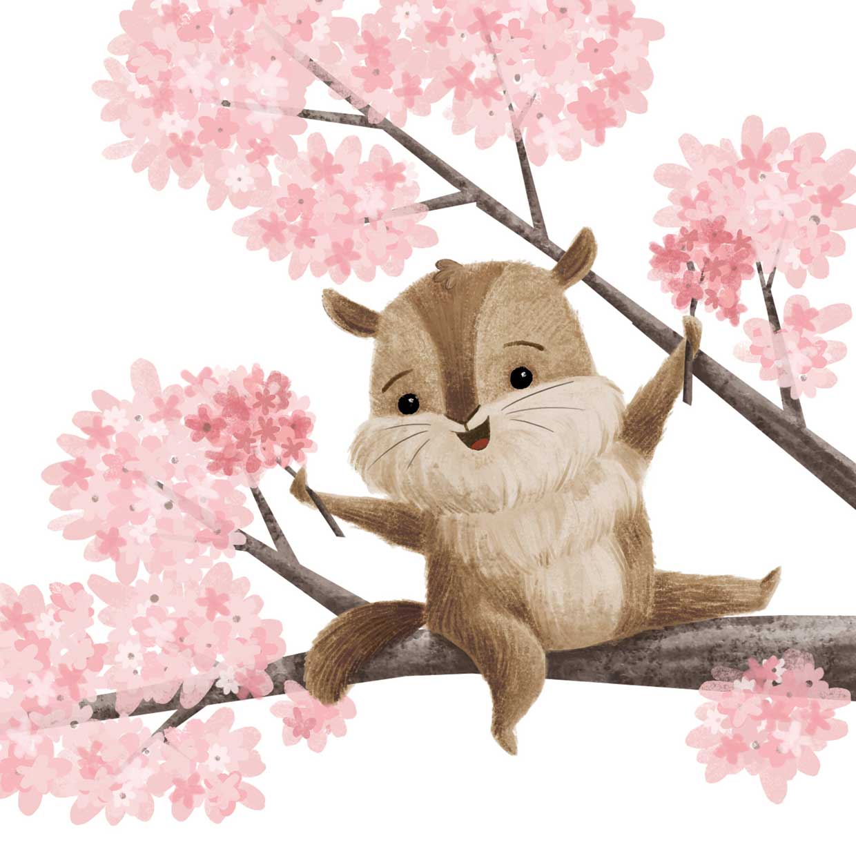 Squirell with Cherry Blossoms