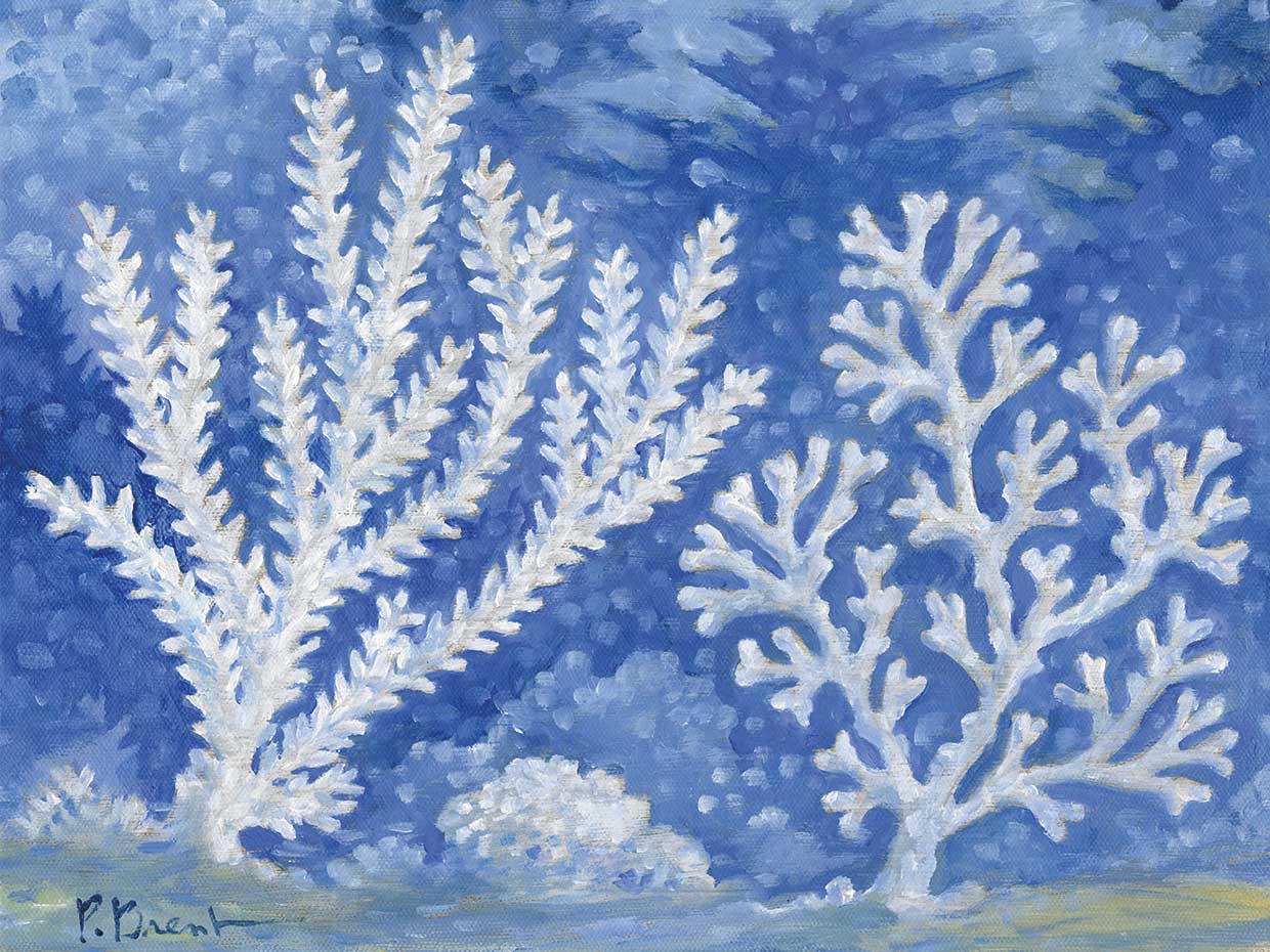 Impressions of Coral II – Horizontal