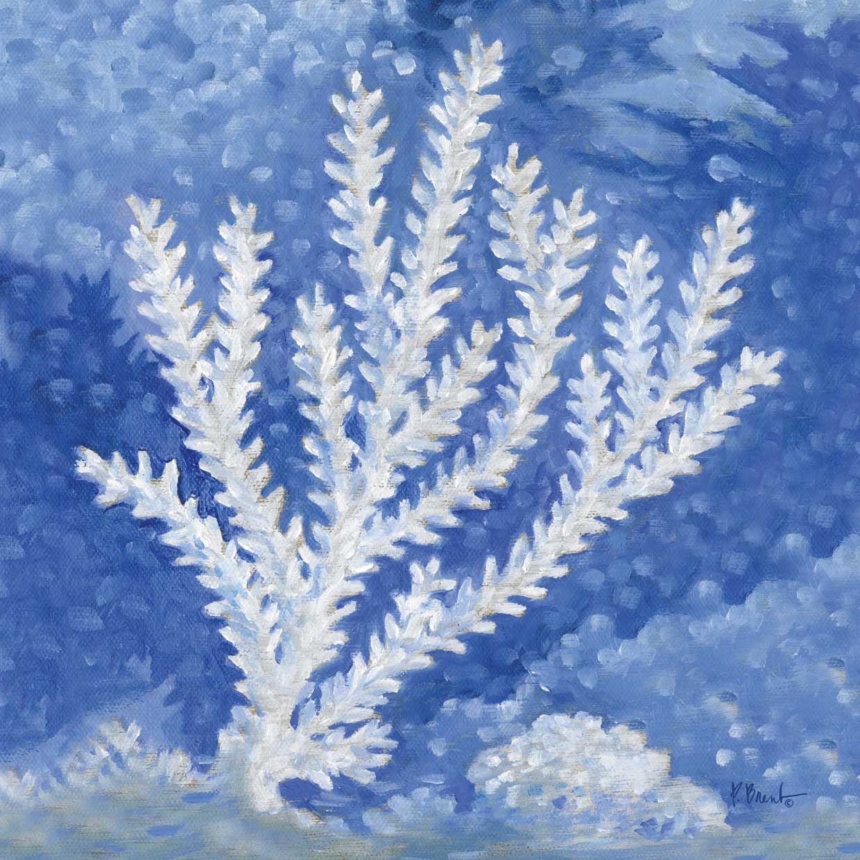 Impressions of Coral IV