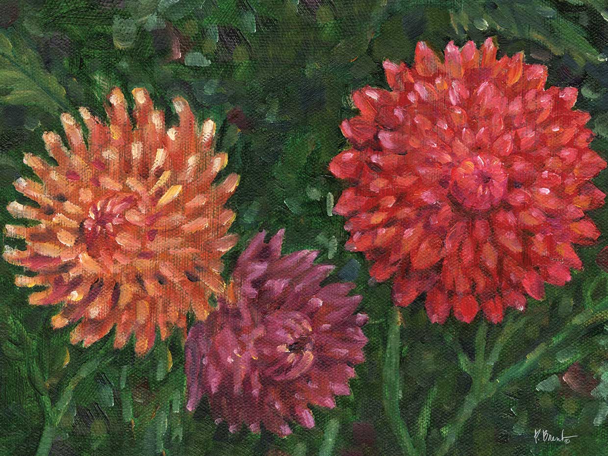 Impressions of Dahlias Horizontal II