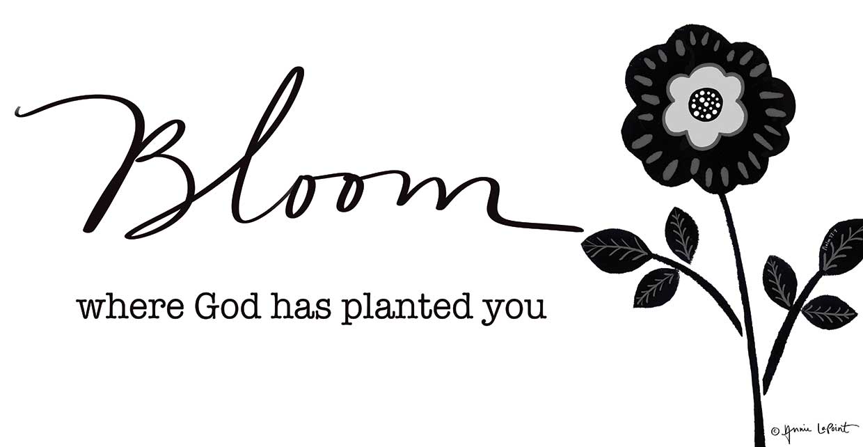 Bloom Where God Has Planted You Wall Art by Annie LaPoint