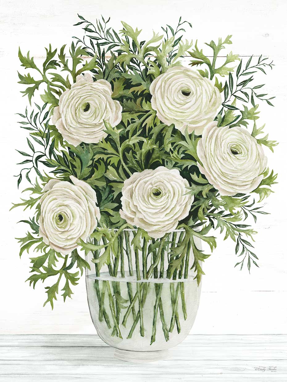 Ranunculus on White