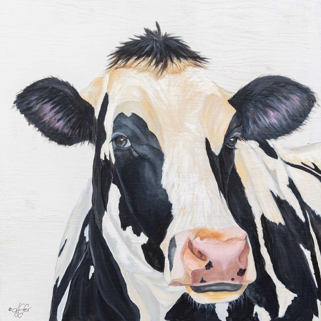 Holstein Cow