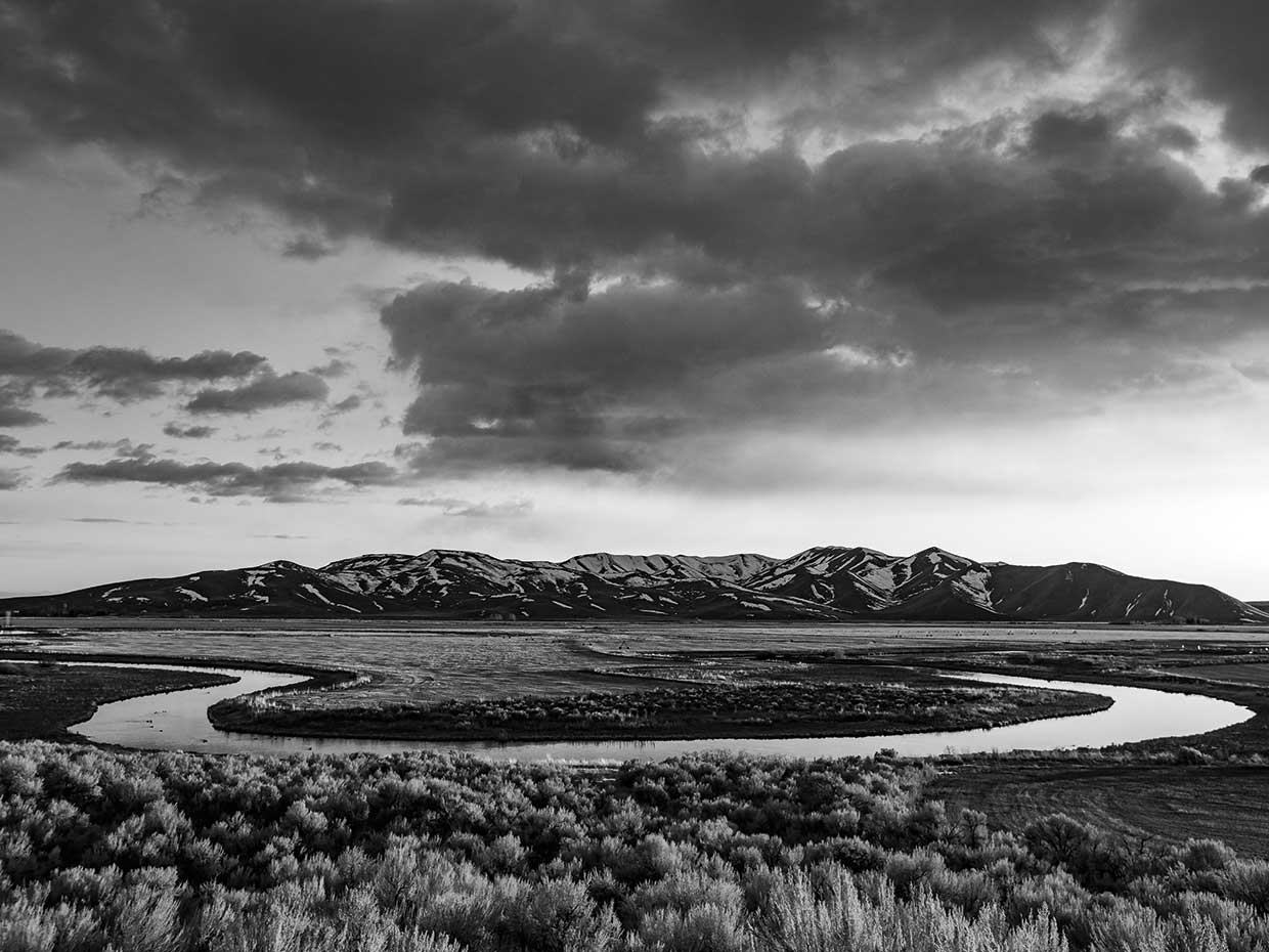 Black and White Landscape