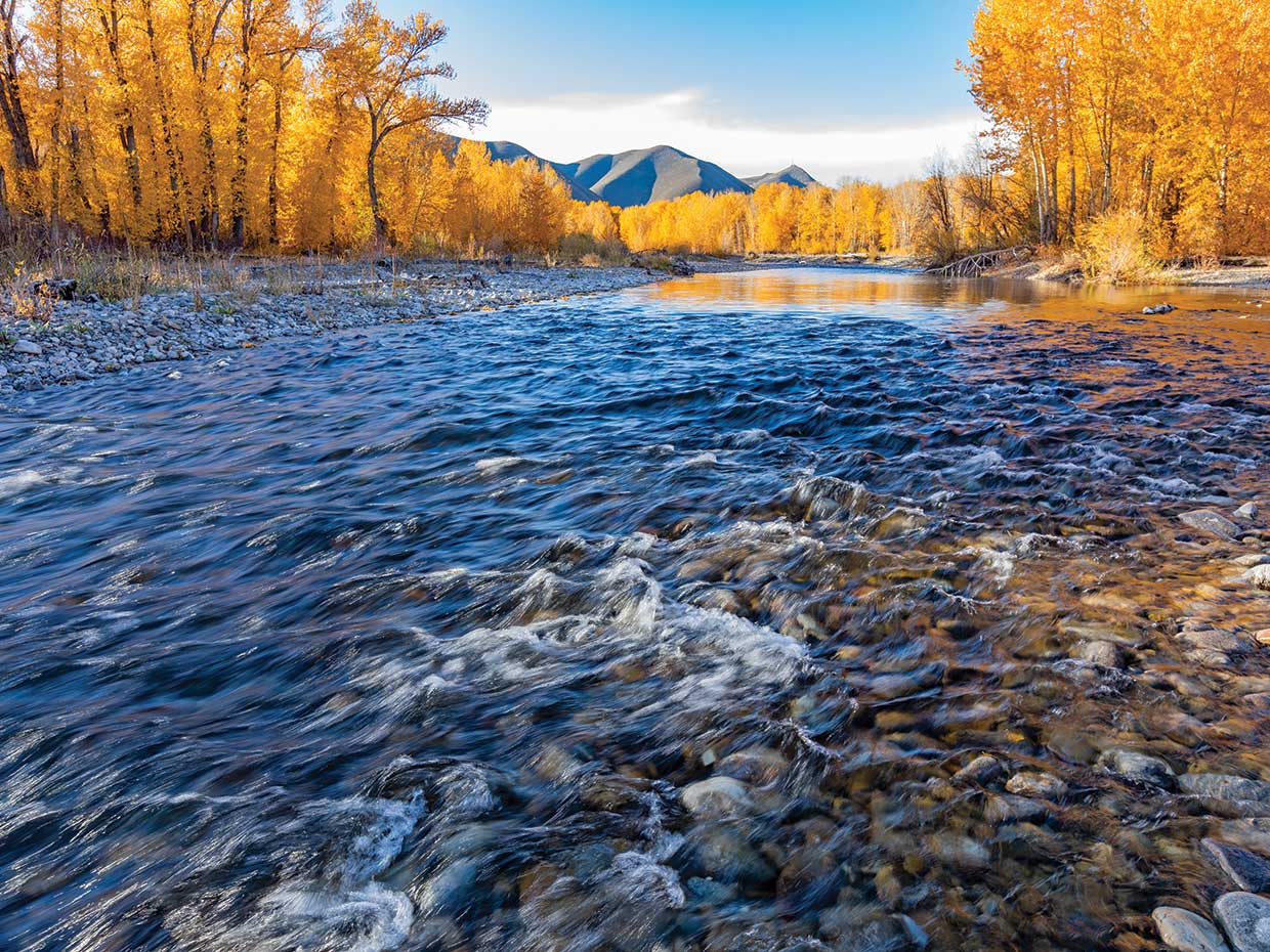 Fall Along The River 1