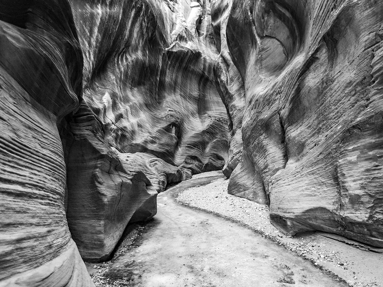 Serene Pathway Black and White